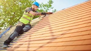 Best Roof Moss and Algae Removal  in San Diego, TX